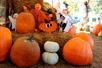 pumpkins display