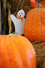 pumpkins and ghost